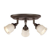 Frosted Glass 3-Light Adjustable Halogen Light Fixture