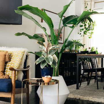 My Houzz: Houseplant-Happy Home in Philadelphia