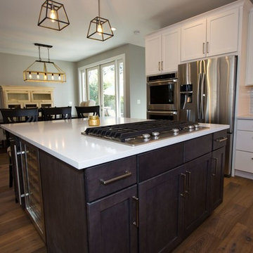 Austin Remodel - W. Francis II