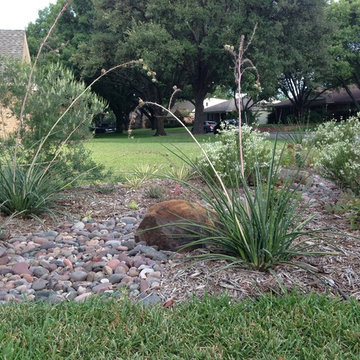 Drought Tolerant Landscape