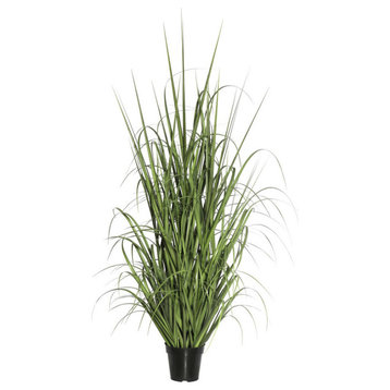 24" Green Ryegrass In Pot