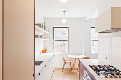 Danish kitchen photo in New York