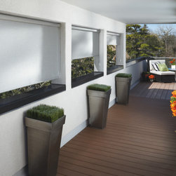 Screen Shades - Window Blinds