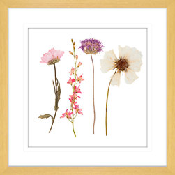 Spring Wildflowers Collection - Framed Art Prints (WILD02) - Artwork