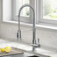Britt 3-Function Pull-Down Water Filter Kitchen Faucet CH, Model KFF-1691CH