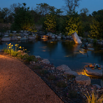 Back Yard Oasis