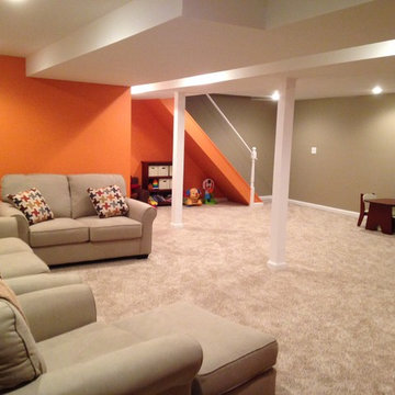 Basement Remodel