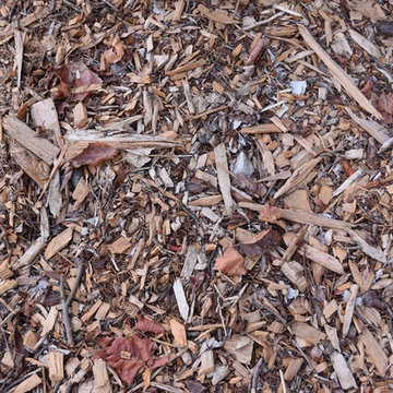 Lose the Lawn in Piedmont California