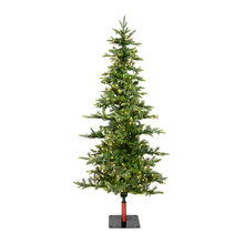 Wish List