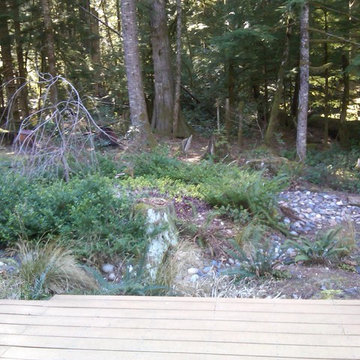 RAIN GARDENS & OUR RAIN GARDEN ISLAND (SM)