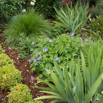 Gamble Garden Spring Tour 2014: 334 Lincoln