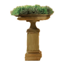 Landscape Ideas