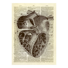 dictionary print