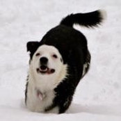 Linda Schwartz's photo