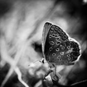Lucy Nunez's photo