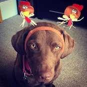 Ashe Cahill's photo