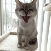 Steve Yi's photo