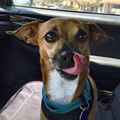 Lauren Herlich's photo