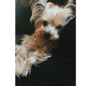 Laura Rivas's photo