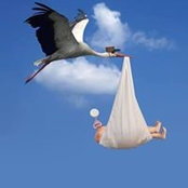 Dan Robinson's photo