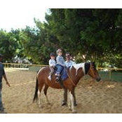 Alia Husseini's photo