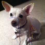 Meredith Marshall Stevens's photo