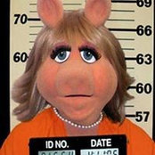 Amanda Lamberts billede
