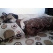 Florence Santos's photo