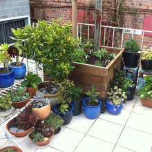 Apartment Garden