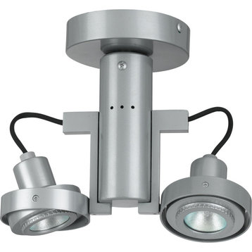 Cal Lighting CE-962/MR-16 Two Light Ceiling Mount Light - Painted Silver