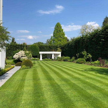 Specimen Planting for residence in Oxshott, UK