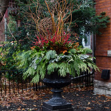 Winter Containers
