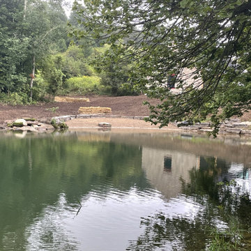 Pond Revitalization