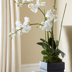 John-Richard Collection White Orchid in Black Planter Faux-Floral Arrangement - Artificial Flower Arrangements