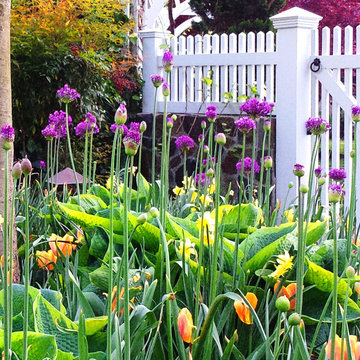 Spectacular Spring Bulbs!