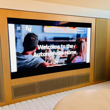 TVs, TVs, Projectors and More TVs