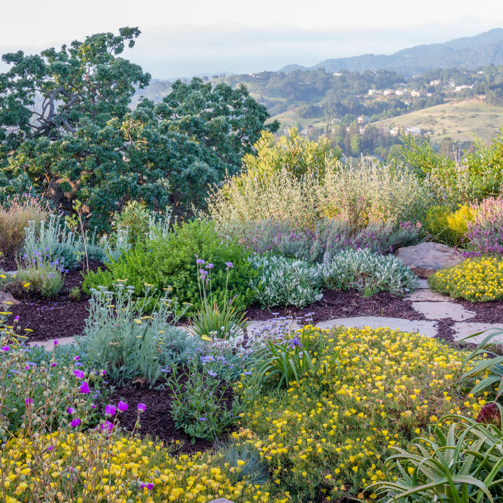 75 Most Popular 75 Beautiful Mediterranean Garden Ideas & Designs ...