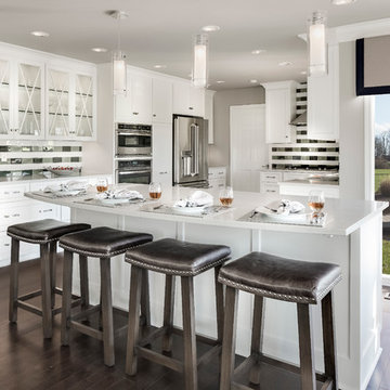 Transitional Whole Home Remodel in Overland Park, KS