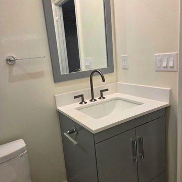Basement Bathroom Renovation in The Bridle Path