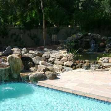 Ghandi Residence Backyard Ecosystem Pond in Scottsdale, AZ
