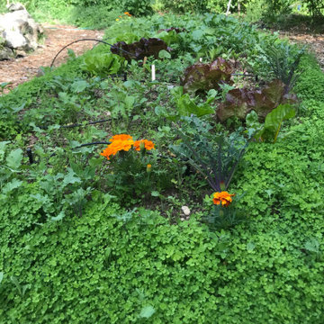 Casa Samasati Labyrinth Garden