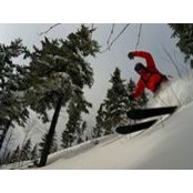 Nicolas Pelletier's photo