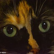 Nadine Jaisler's photo