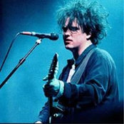 Francois Delfosse's photo