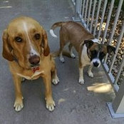 Kim McAtee's photo