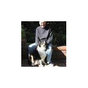 Robert Beck's photo