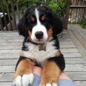 Alexis Copeland's photo