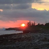 Gina Consiglio's photo