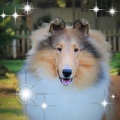 Kathleen Thomas's photo