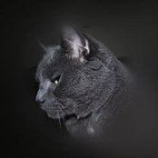 Sammi Conners's photo